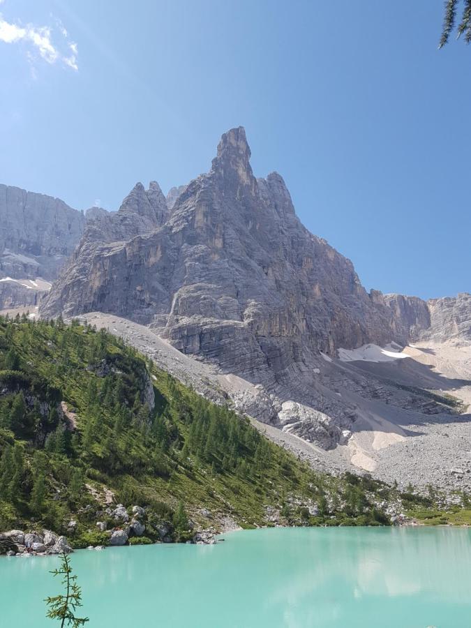 Appartamento Comelico Dolomiti Candide Esterno foto