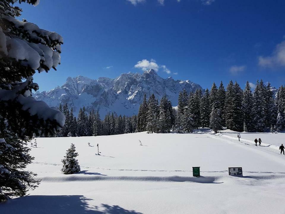 Appartamento Comelico Dolomiti Candide Esterno foto